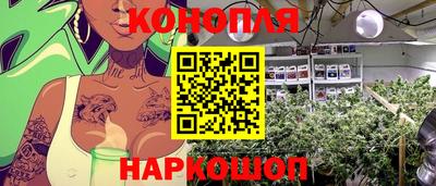 мяу мяу мука Краснознаменск