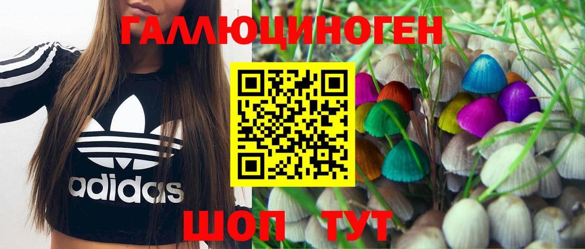 Кимры  Галлюциногенные грибы мицелий  где купить наркоту  Вход с VPN  Псилоцибиновые грибы MAGIC MUSHROOMS 